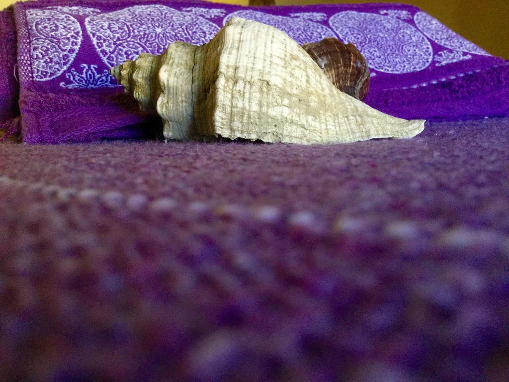 Pousada Kite Guajiru Itarema Exteriér fotografie